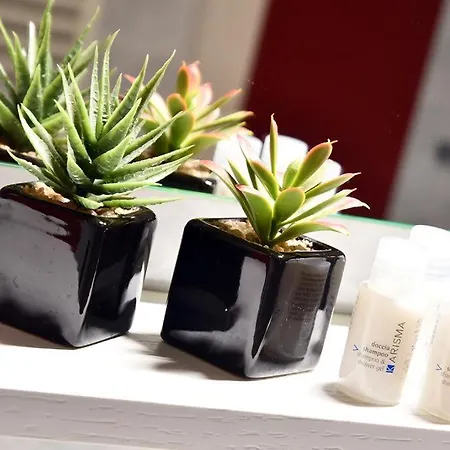 Affitti Turistici: Oasi Felice