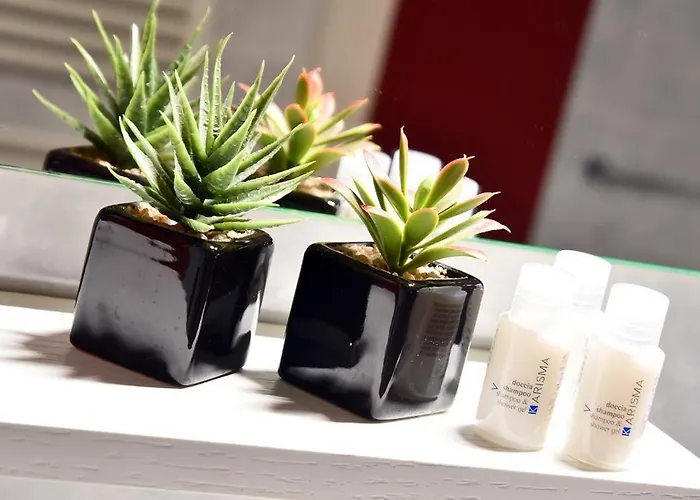 Affitti Turistici: Oasi Felice